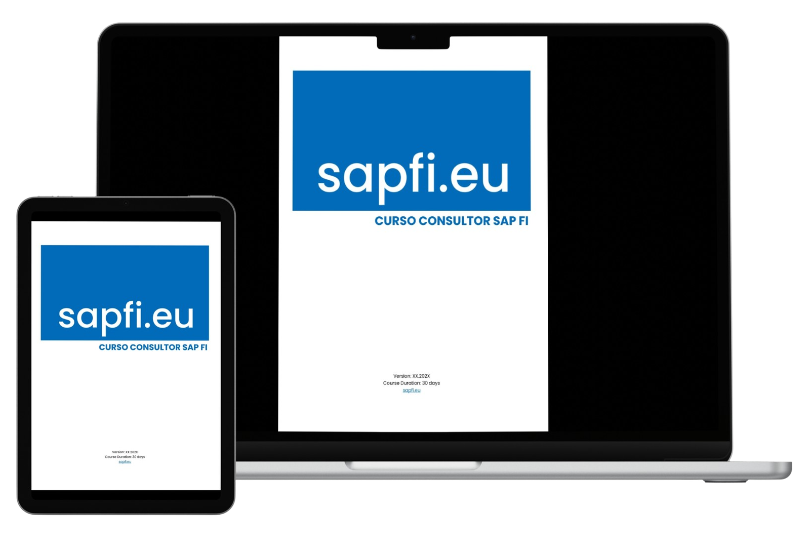 Curso Consultor SAP FI - Imagen 2
